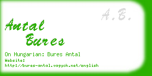 antal bures business card